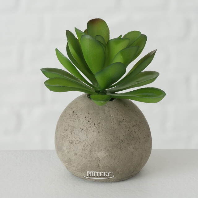 Искусственное растение в горшке Эхеверия 7 см Boltze