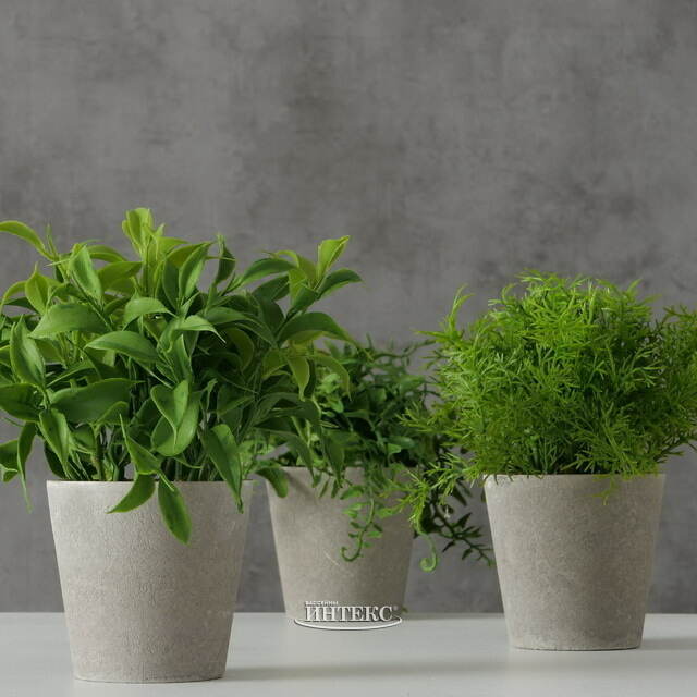 Искусственное растение в горшке Фельчендо 17 см Boltze