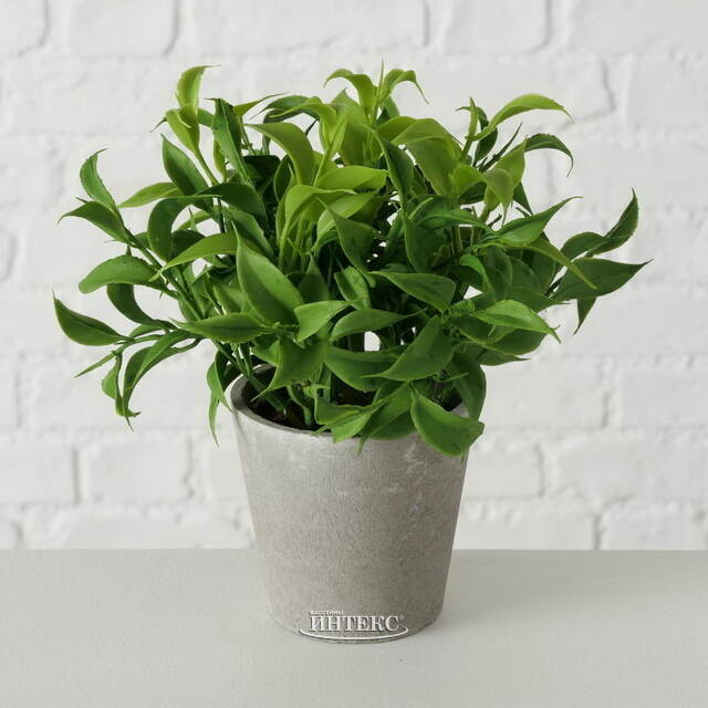 Искусственное растение в горшке Иратсеа 17 см Boltze (Больтце)