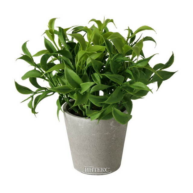 Искусственное растение в горшке Иратсеа 17 см Boltze (Больтце)