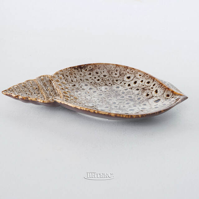 Набор керамических тарелок для закусок Ракушки Shellea 15-20 см, 2 шт Boltze