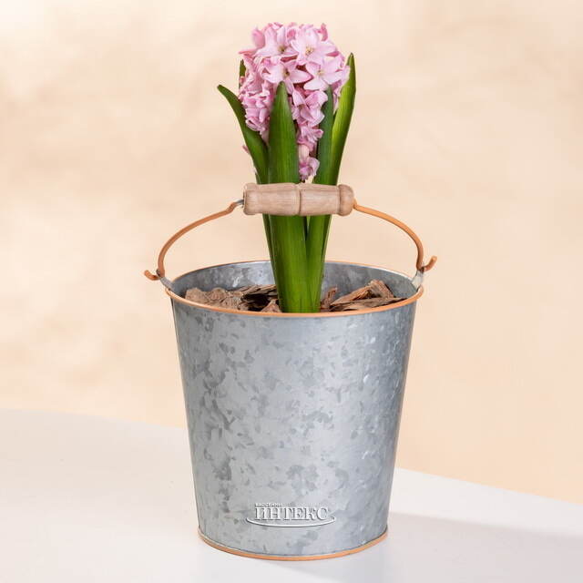 Металлическое кашпо Ведерко Луфен 14 см Boltze (Больтце)