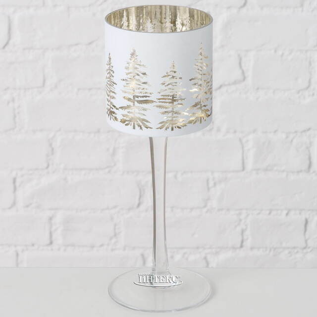 Набор стеклянных подсвечников - бокалов Coventry 25-30 см, 2 шт Boltze (Больтце)