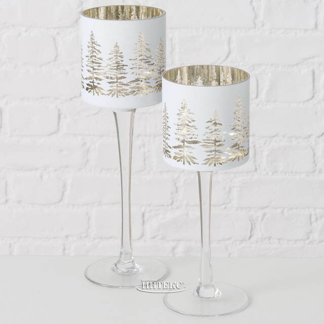 Набор стеклянных подсвечников - бокалов Coventry 25-30 см, 2 шт Boltze (Больтце)