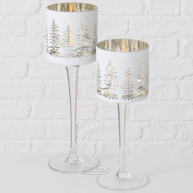 Набор стеклянных подсвечников - бокалов Coventry 25-30 см, 2 шт Boltze (Больтце)