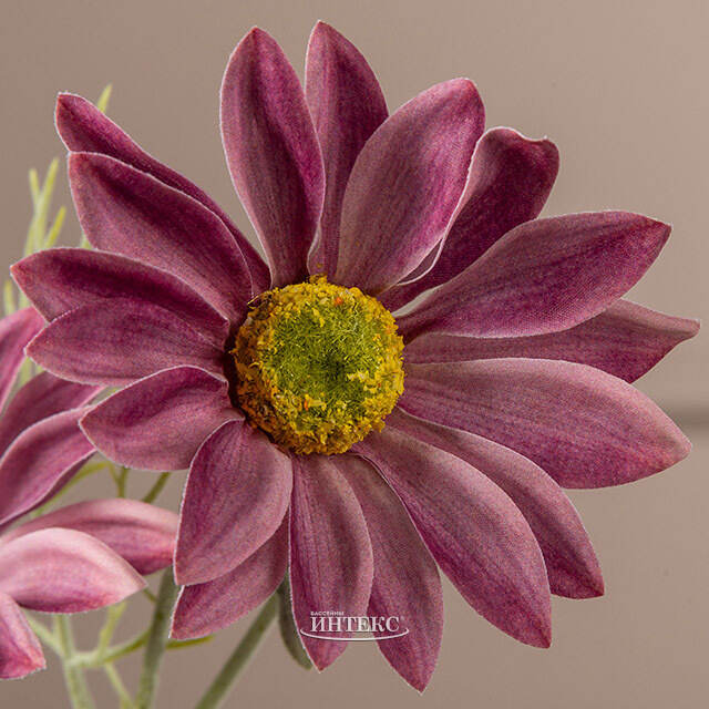 Искуcственная ветка Ромашка - Summer Freshness 65 см фуксия EDG