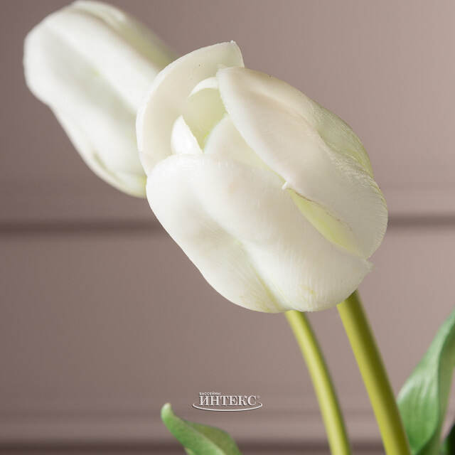 Силиконовые тюльпаны White Prince 5 шт, 48 см EDG