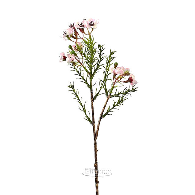 Искусственные ветки Хамелациум - Carmona 27 см, 2 шт EDG