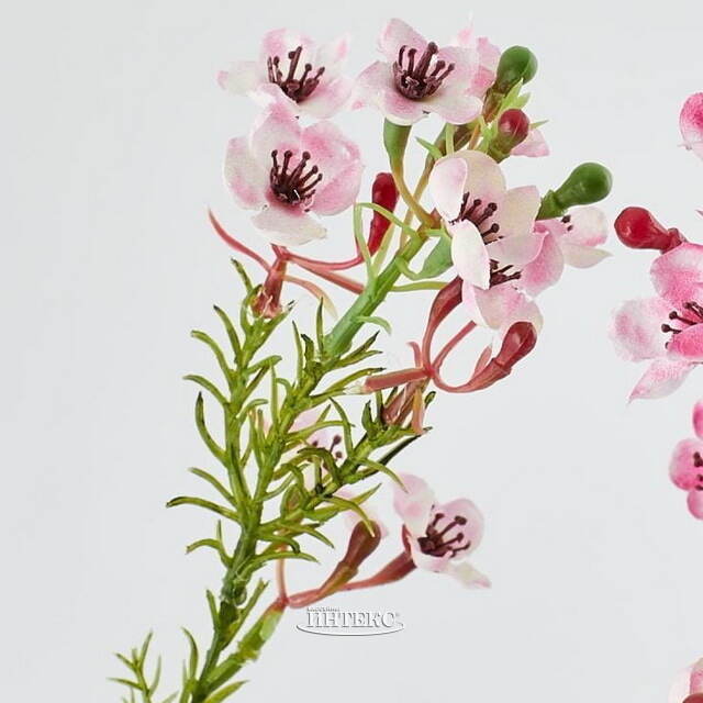 Искусственные ветки Хамелациум - Carmona 27 см, 2 шт EDG