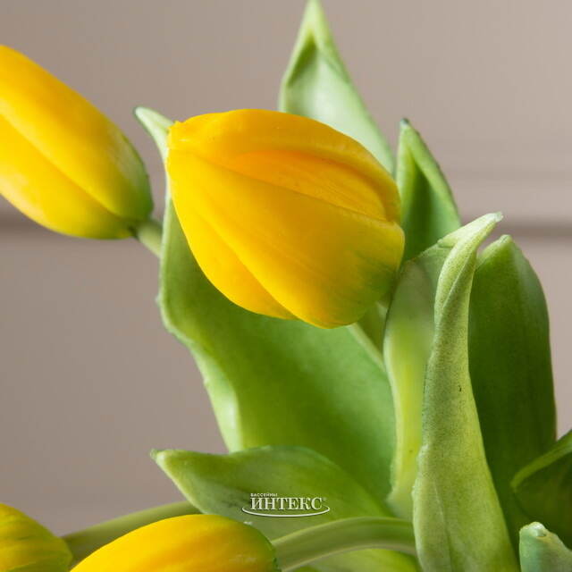 Силиконовые тюльпаны Идальго 9 шт, 29 см желтые EDG (ЭДГ)