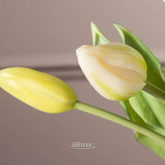 Силиконовые тюльпаны Hidalgo 9 шт, 29 см зеленые EDG