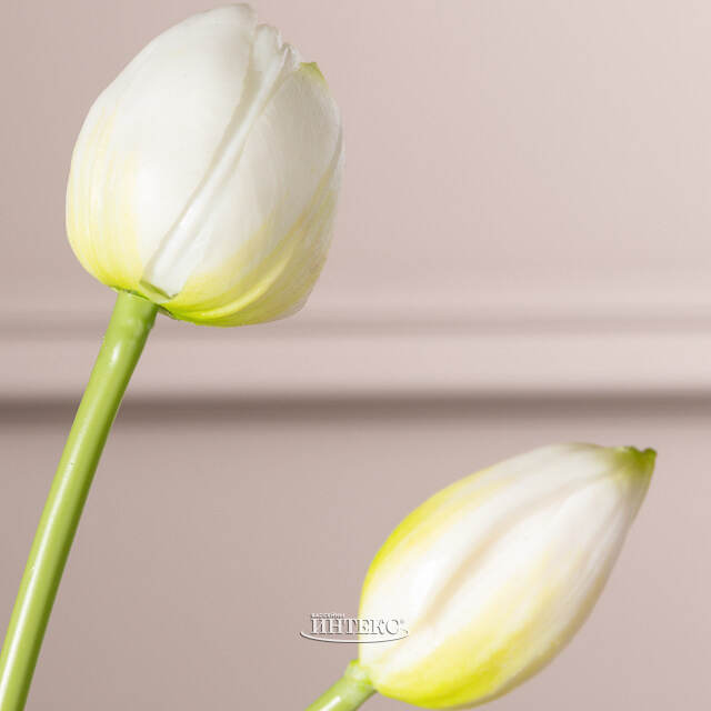 Силиконовые тюльпаны Maureen 5 шт, 40 см EDG