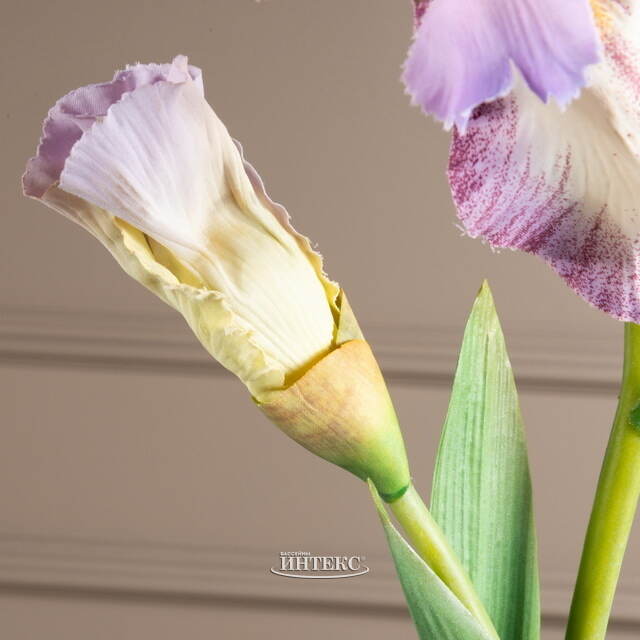 Искусственный цветок Ирис - Кармело 80 см EDG (ЭДГ)