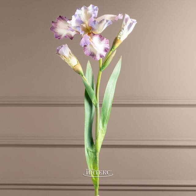 Искусственный цветок Ирис - Кармело 80 см EDG (ЭДГ)