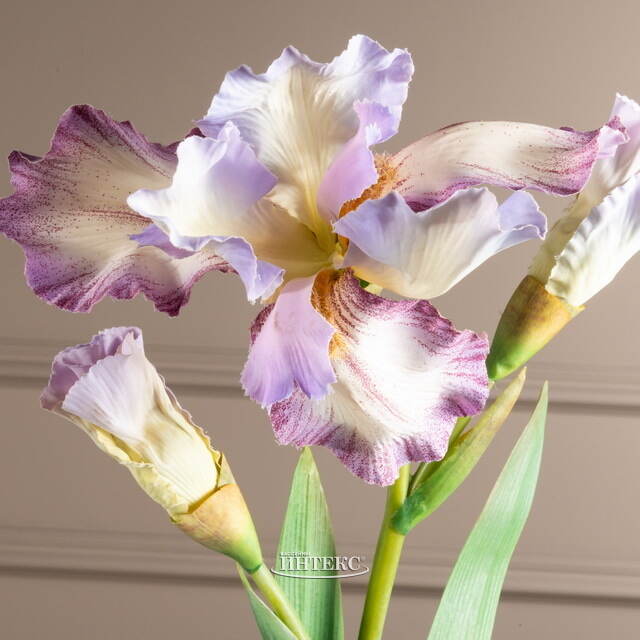 Искусственный цветок Ирис - Кармело 80 см EDG (ЭДГ)