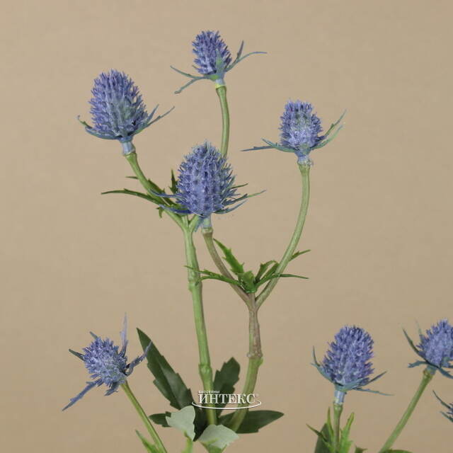 Искуcственная ветка Эрингиум Феббре 50 см EDG (ЭДГ)