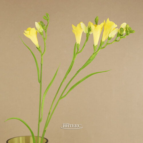 Искуcственный цветок Фрезия - Armstrongi 65 см EDG