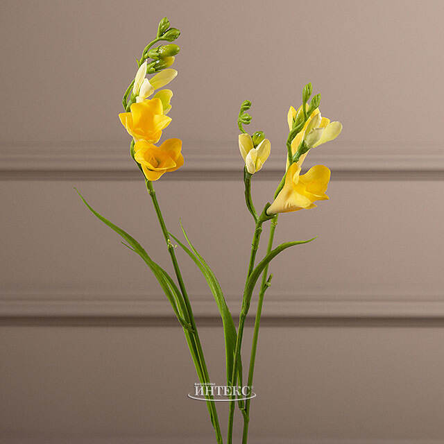 Искуcственный цветок Фрезия - Армстронг 65 см EDG (ЭДГ)