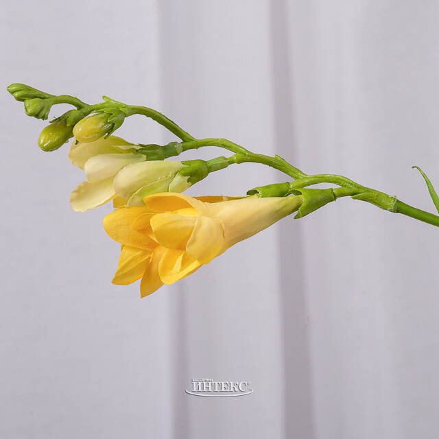 Искуcственный цветок Фрезия - Армстронг 65 см EDG (ЭДГ)