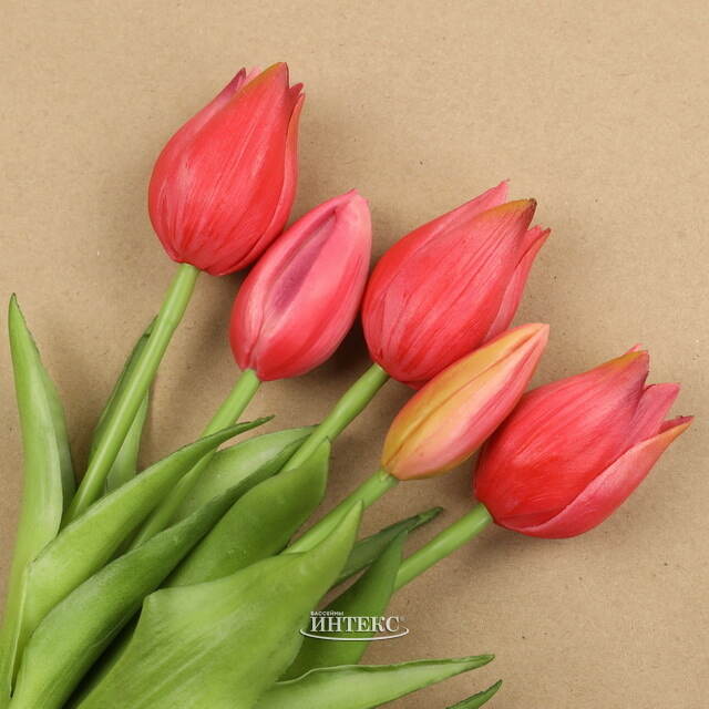 Силиконовые цветы Тюльпаны Parateo 5 шт, 26 см коралловые EDG