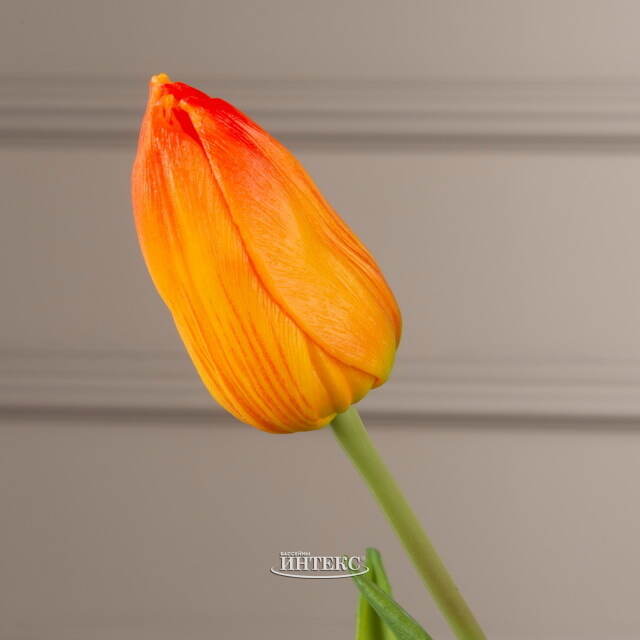 Силиконовые тюльпаны Амадеус 5 шт, 40 см EDG (ЭДГ)