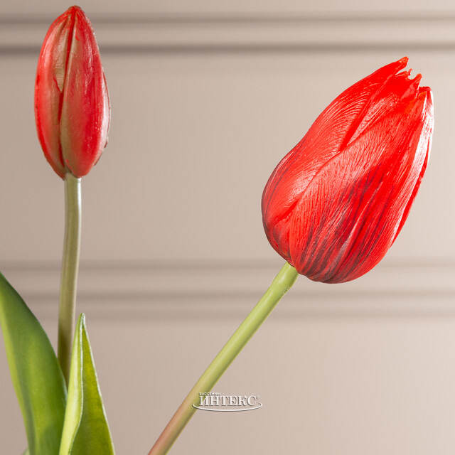 Силиконовые тюльпаны Stella dell Arizona 5 шт, 40 см EDG