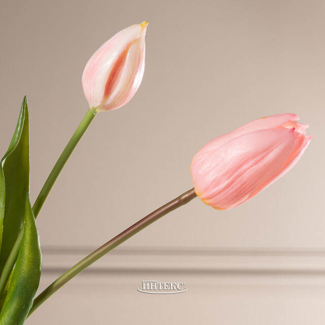 Силиконовые тюльпаны Signora Rosa 5 шт, 40 см EDG