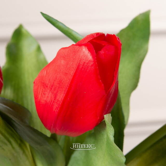 Силиконовые цветы Тюльпаны Пиккола Рагазза 5 шт, 28 см красные EDG (ЭДГ)