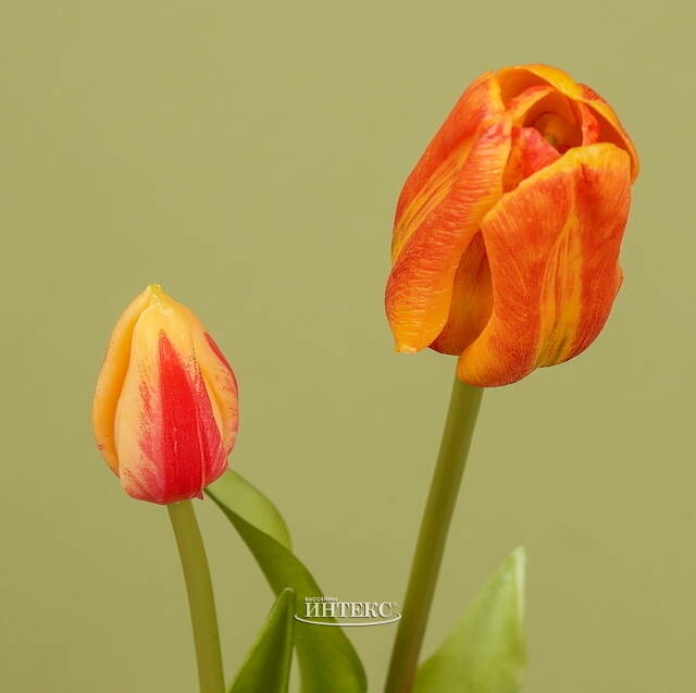 Силиконовые тюльпаны Лейден 3 шт, 48 см оранжевые EDG