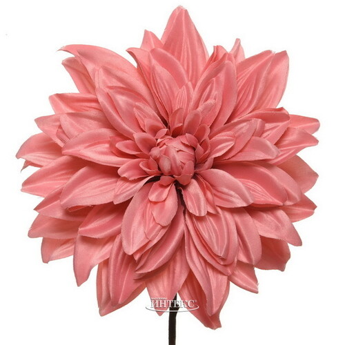Искусственный цветок Георгина Le Castel 67 см на стебле купить в  интернет-магазине Бассейны INTEX intex-rus.ru, 220246