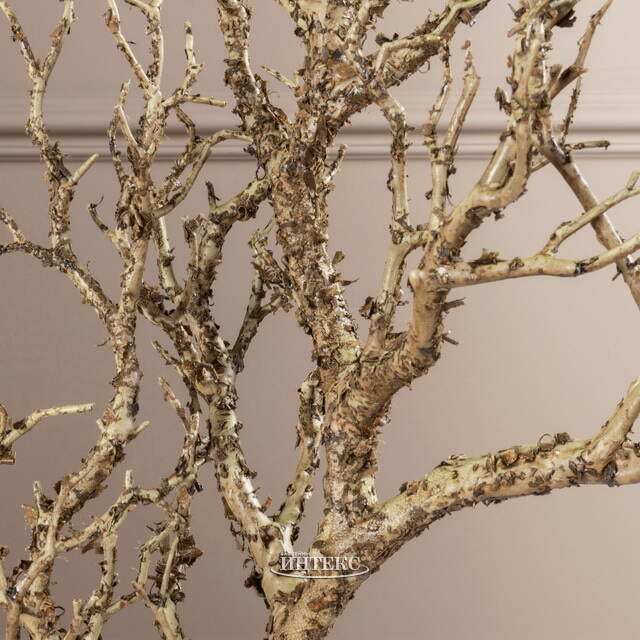 Искусственная ветка Акация Твисти 81 см EDG (ЭДГ)