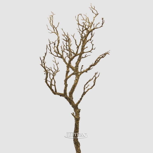 Искусственная ветка Акация Colorato 91 см EDG