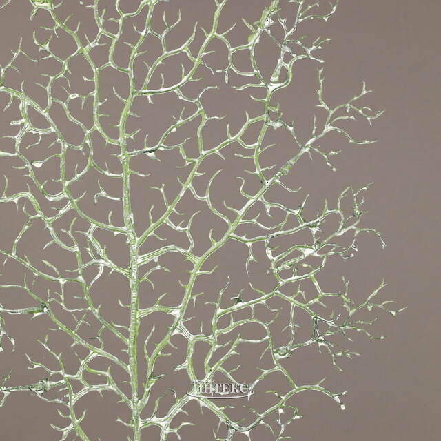 Искусственная ветка Asciutta 63 см зеленая EDG