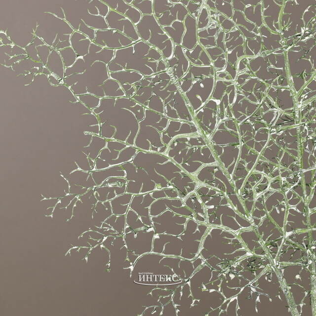 Искусственная ветка Asciutta 63 см зеленая EDG