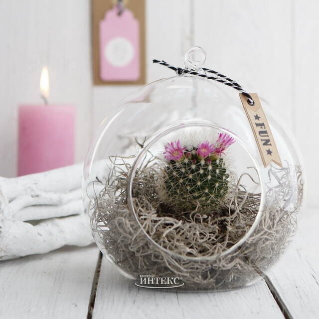 Стеклянный шар для декора Мелоне 14 см Ideas4Seasons (Идеас Фор Сезонс)