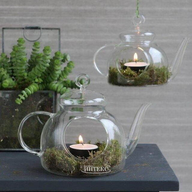 Декоративный флорариум Чайник The Lumiere 14 см, стекло Ideas4Seasons