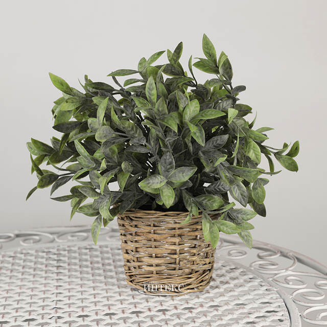 Искусственный эвкалипт в горшке Руохо 26 см Koopman (Купман)