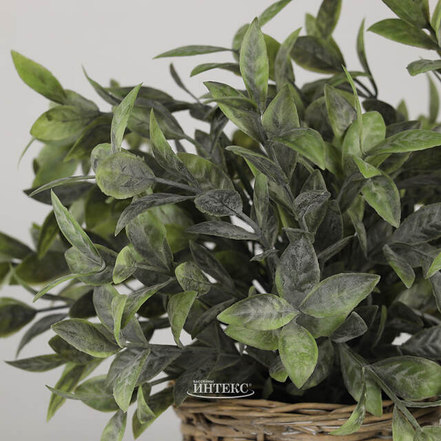 Искусственный эвкалипт в горшке Руохо 26 см Koopman (Купман)