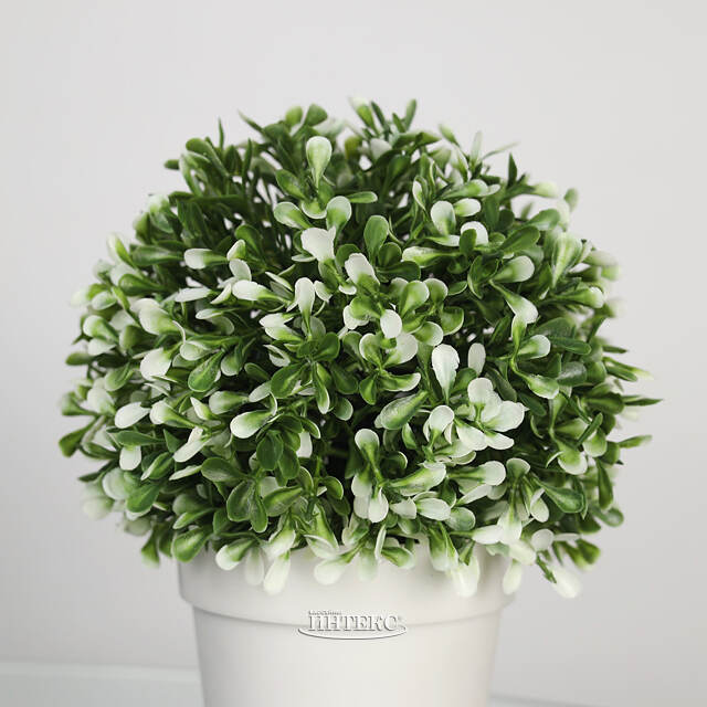 Искусственное растение в горшке Erba Bianca 20 см Koopman