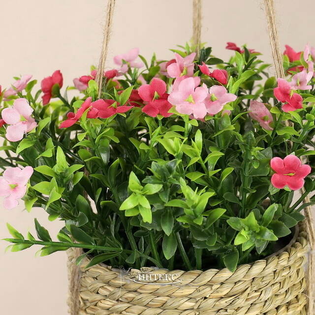 Искусственный цветок в кашпо Броваллия 18 см розовая Koopman (Купман)