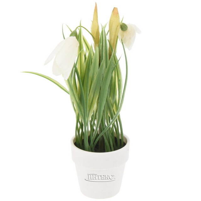 Искусственный цветок в горшке Стейнс: Подснежник 23 см Koopman (Купман)