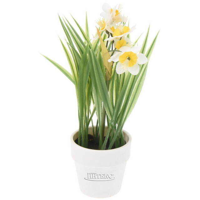 Искусственный цветок в горшке Стейнс: Нарцисс 21 см Koopman (Купман)