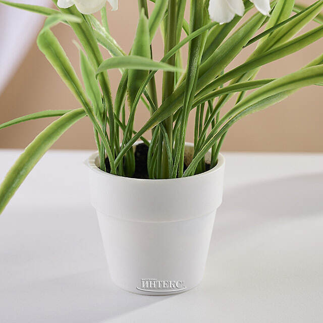 Искусственный цветок в горшке Стейнс: Подснежник 23 см Koopman (Купман)