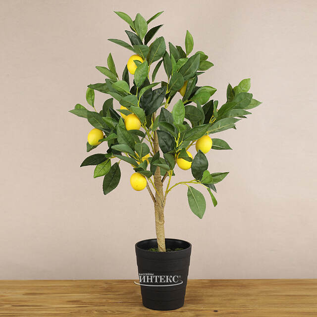 Искусственное дерево Limoni 70 см Koopman