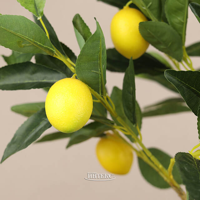 Искусственное дерево Limoni 70 см Koopman