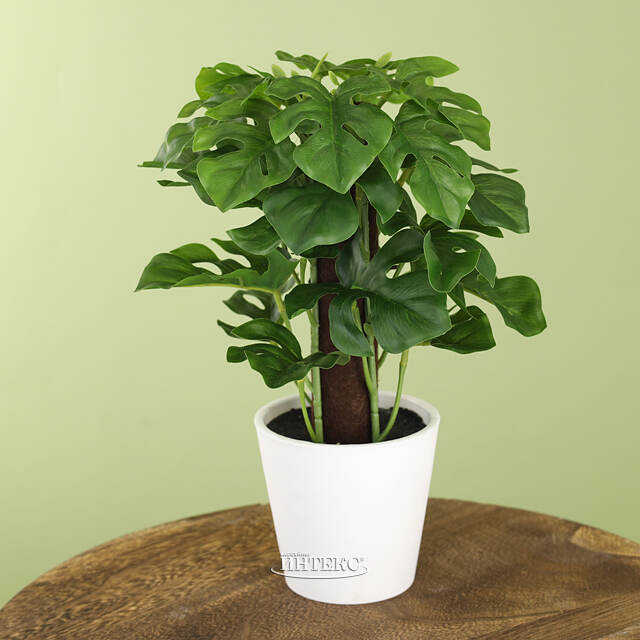Искусственное растение в горшке Monstera 25 см Koopman