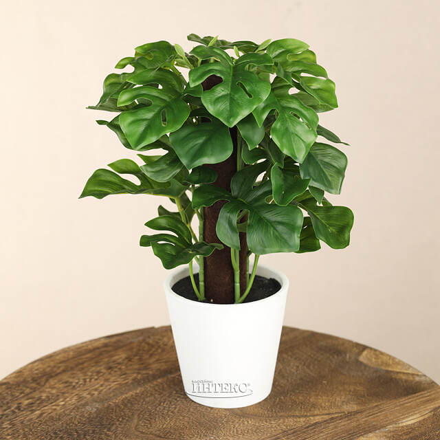 Искусственное растение в горшке Monstera 25 см Koopman