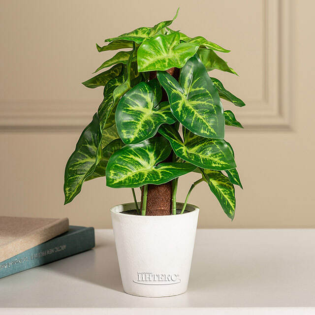 Искусственное растение в горшке Сингониум 25 см Koopman (Купман)