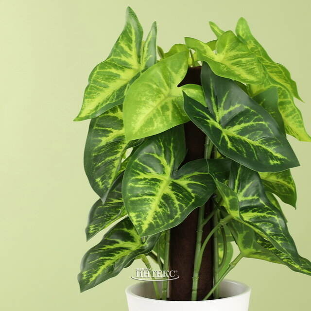 Искусственное растение в горшке Taro 25 см Koopman