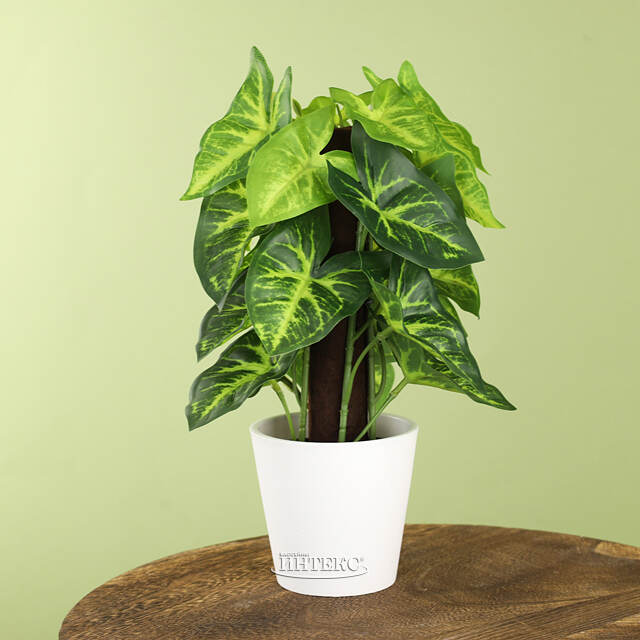 Искусственное растение в горшке Taro 25 см Koopman